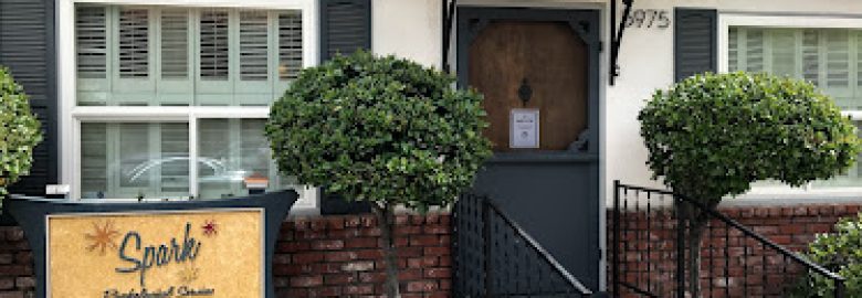 Spark Psychological Services  Laurie Ferguson, PsyD