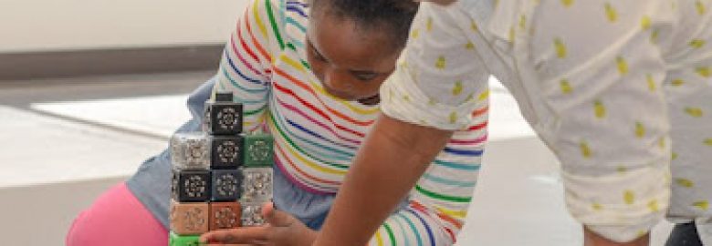 Center for Children and Families at Erikson Institute