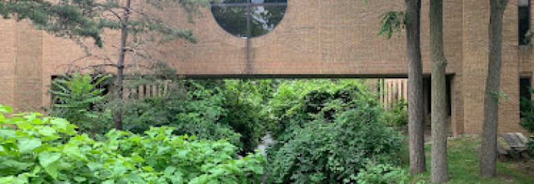 Great Lakes Psychology Group – Ann Arbor