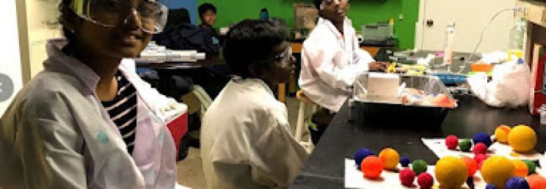NC STEM ACADEMY