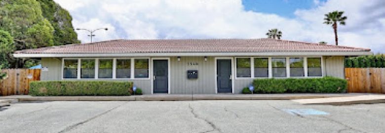 Connect & Bloom Speech Therapy Inc