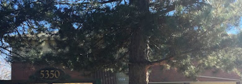 Dr. Arielle Schwartz, PhD Clinical Psychologist in Boulder, Colorado