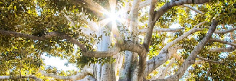 Kathrin Winkler Therapy