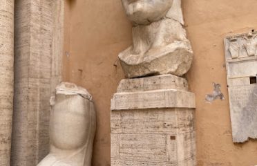 5-Star Online Latin Tutor