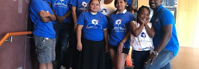 The Ryan Institute, LLC