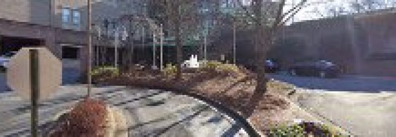 Northside Hospital Audiology