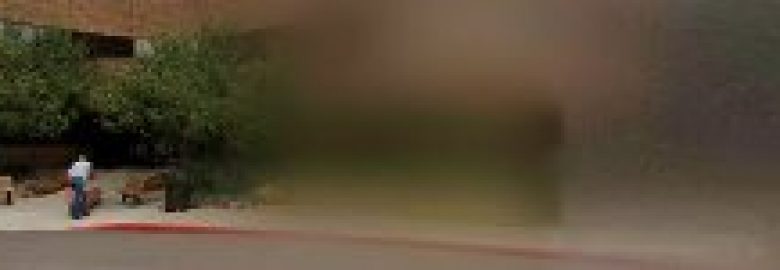 Gabriela Perez-Saenz