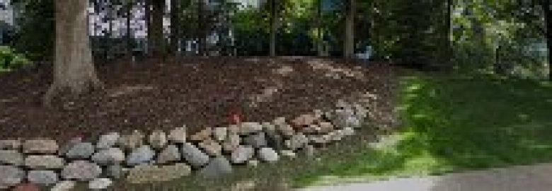 Timothy J. Mccarthy, PHD