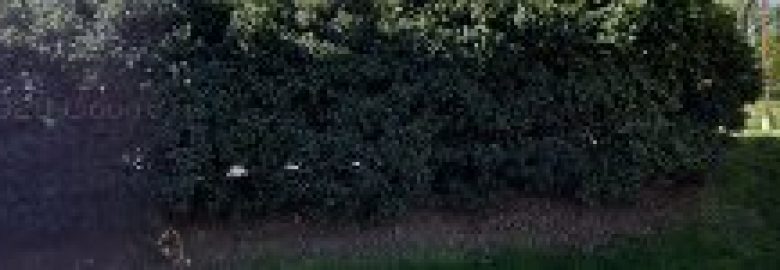 Carolina Sinus Centers – Charlotte