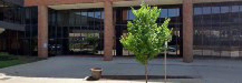 Dr. Heather Ciesielski