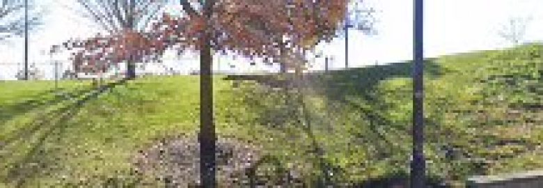 Christine M. Goodman, AUD