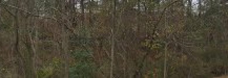 Elizabeth Bradley Turner Center