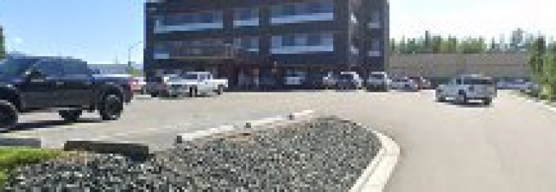 Northern Hearing Services Inc