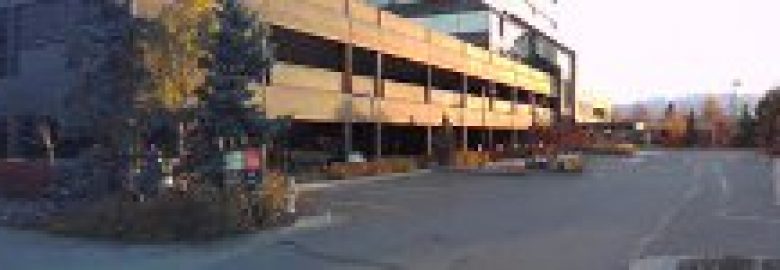 O’Leary Julie C PhD