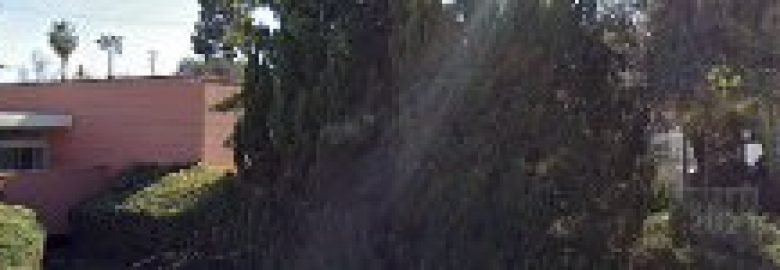 Dr. Paul Stebbins Ph.D., Clinical Child and Adolescent Psychologist